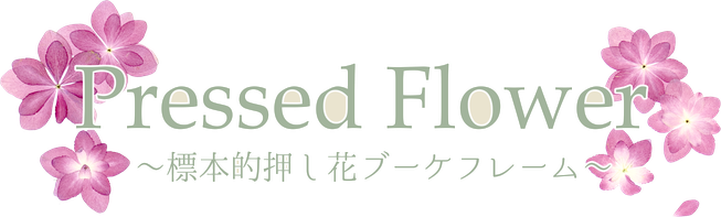 標本的押し花フレーム 横浜 押し花 ドライフラワー加工のメイプル ノブ 標本的押し花フレーム 横浜 押し花 ドライフラワー加工のメイプル ノブ