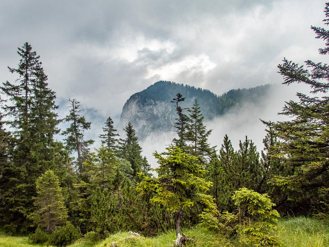 Mit unserem Integrationsprojekt "Wanderglück" ging es dieses Jahr zum Wandern in die Bergwelt im Schwangau.