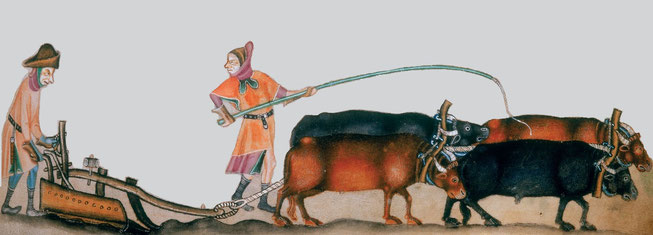 Ploughing the strips in the Middle Ages