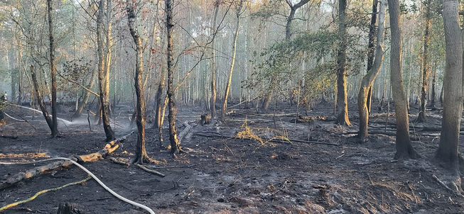 Waldbrand Vöhrum 2022