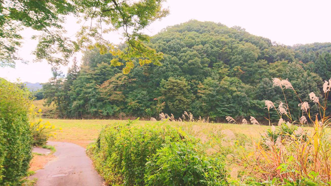 山形の自然に囲まれて育った