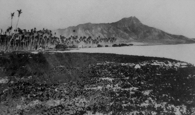 Waikiki in 1800s (from Wikimedia)