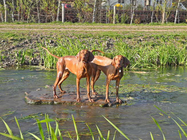 Suki und ihre Mutter Mina