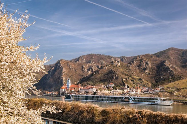 Flusskreuzfahrt im Frühling in der Wachau Marillenblüte