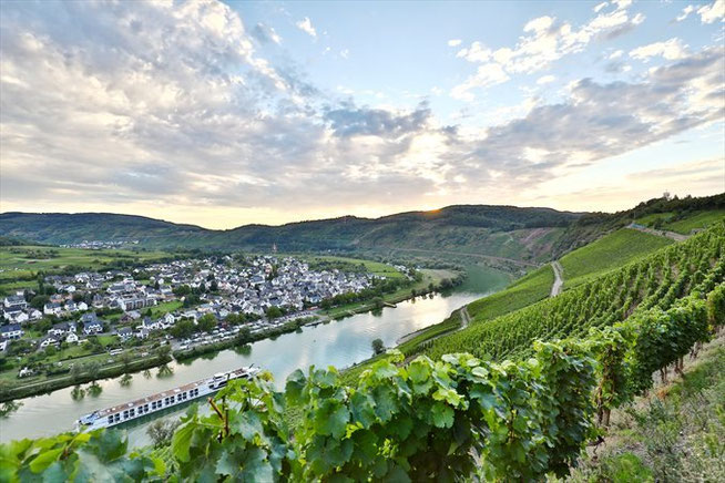 Weinberge Mosel 2026