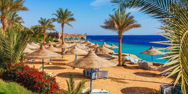 Ägypten Strand und Palmen