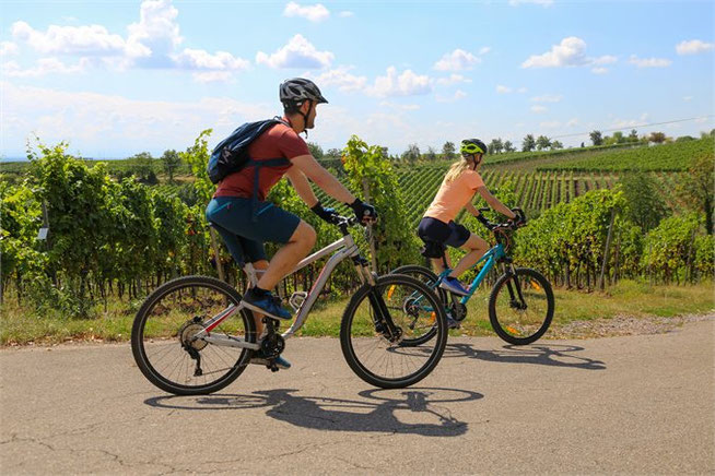 Rad- und Schiffkreuzfahrt auf dem Donauradweg