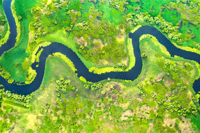 Verlauf des Donaudeltas von oben