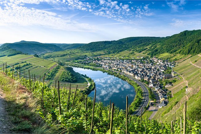 Weinberge an der Mosel