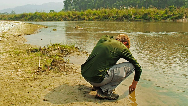 Chitwan Rapti River Dschungel Nepal