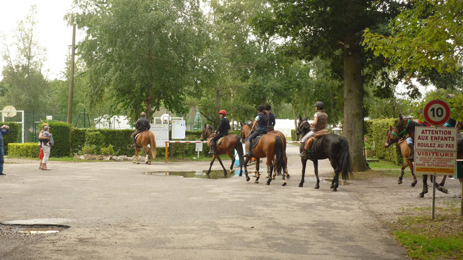 camping  accueil chevaux et cavaliers