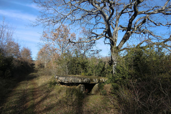 Le dolmen de Concoules