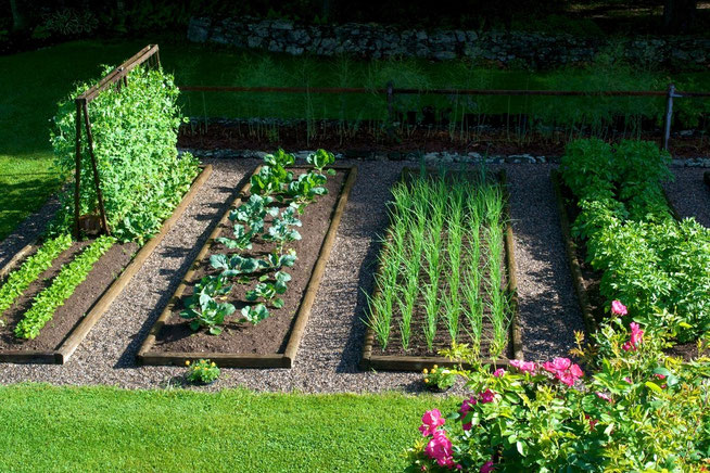 The Raised Bed Vegetable Garden at Distant Hill Gardens.
