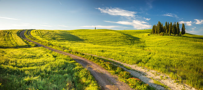 Der Weg zur Energetik