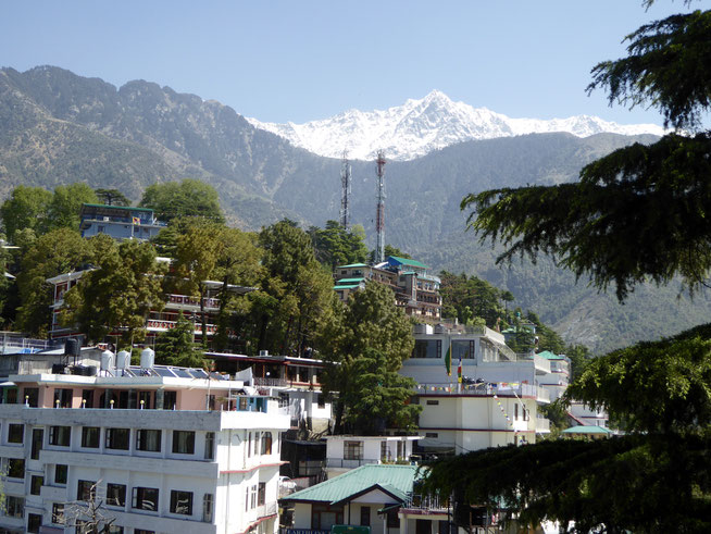 Bild: McLeod Ganj bei Dharamsala in Nord Indien