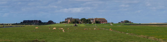Bild: Foto Hallig Hooge