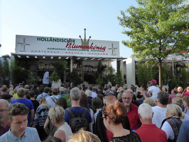 Bild: Stand des Holländischen Blumenkönigs