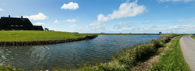 Bild: Foto auf Hallig Hooge