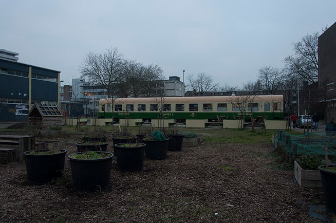 Gare du Nord is een oud treinstel dat omgebouwd is tot restaurant. Het treinstel bevind zich vlakbij de voormalige Hofpleinlijn in ZoHo, het Rotterdamse maakkwartier in Rotterdam-noord.