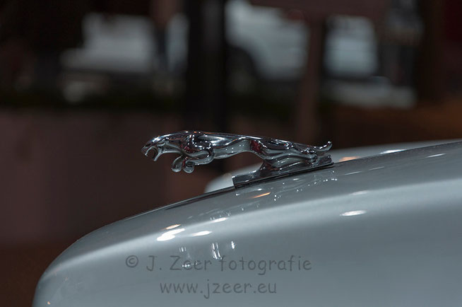 Het kenmerkende beeldje van de jaguar zie je niet veel meer op de neus van de motorkappen net als de ster van Mercedes. Maar als je dan een wat ouder model met opgepoetst beeldje ziet weegt dat niet op tegen de logo's.