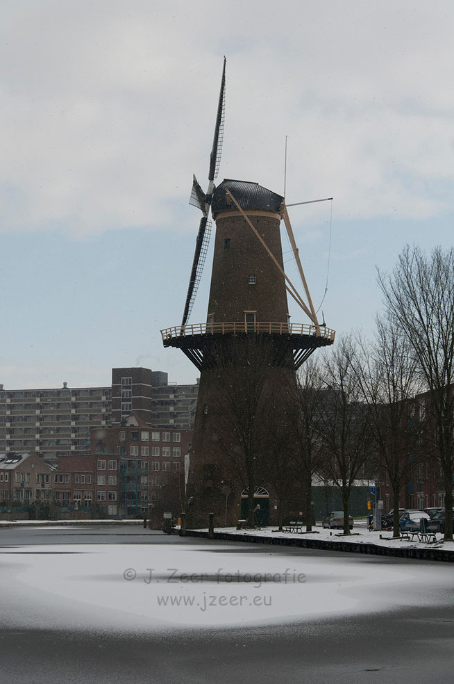 Afgelopen week viel er een kleine beetje sneeuw. Dat in combinatie met een dun laagje ijs geeft een uniek beeld bij de Schiedamse museum molen "De nieuwe palmboom."