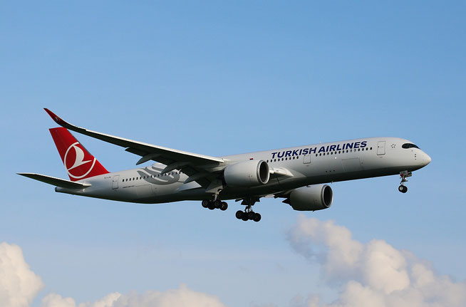 A 350-941  " TC-LGL "  Turkish Airlines -2