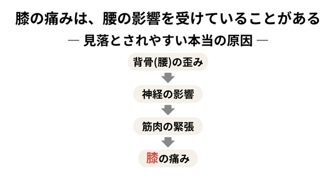 背骨（腰）の歪みが神経や筋肉に影響し、膝の痛みにつながる流れを示した図