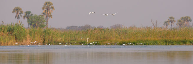 gunns camp | okavango delta | botswana