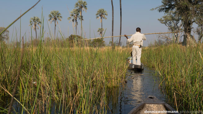 mokoro  gunns camp okavango delta botswana