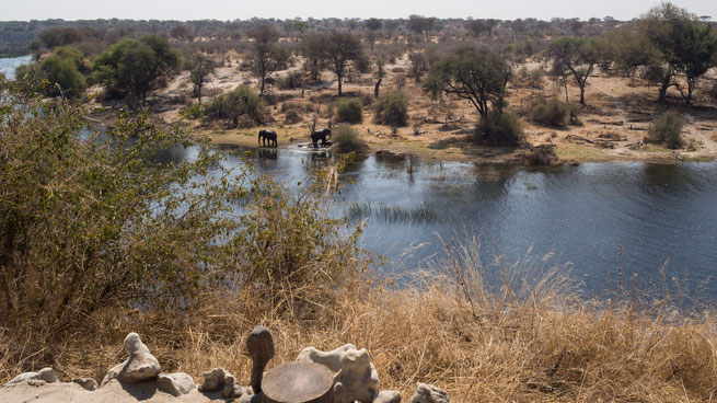 meno a kwena | boteti river | botswana