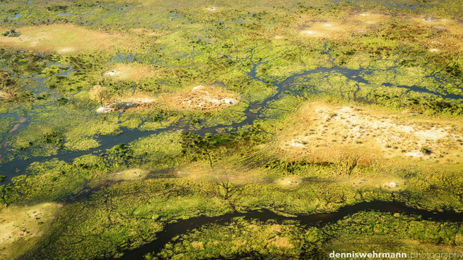 birds eye view okavango delta botswana