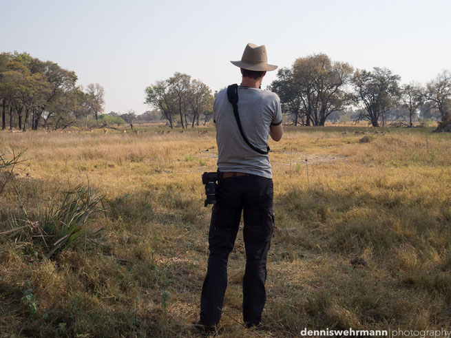 chiefs island okavango delta botswana