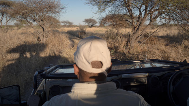 tao pan lodge central kalahari national park botswana