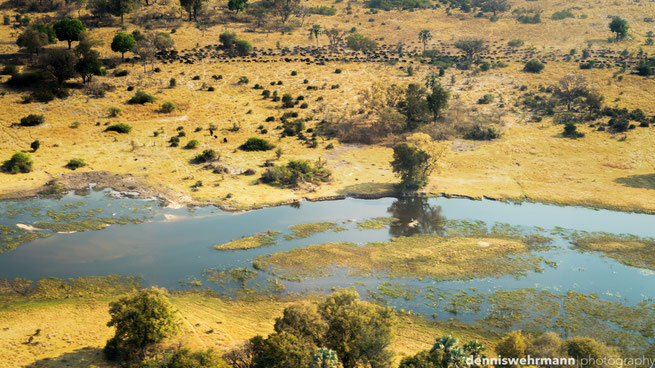 birds eye view okavango delta botswana