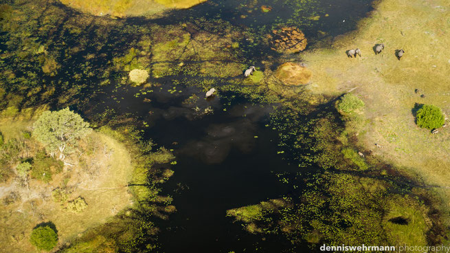 birds eye view okavango delta botswana