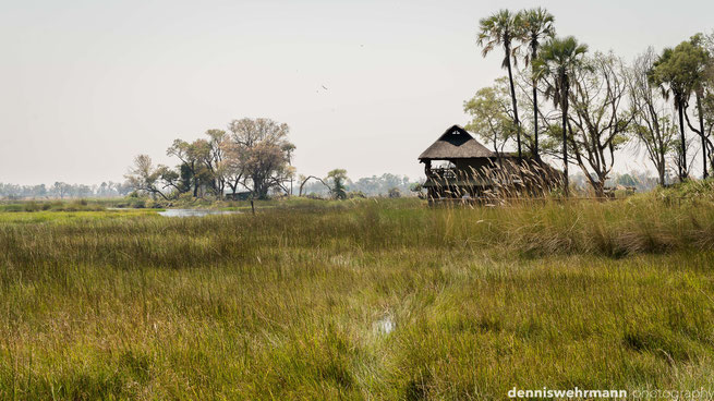 gunns camp okavango delta botswana