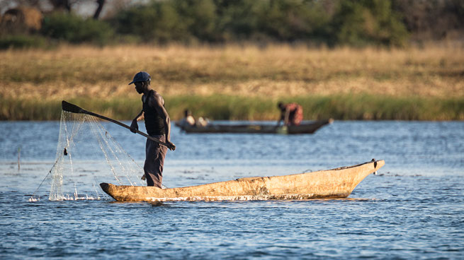 traditionelles fischen | sambesi | kalizo lodge | caprivi strip | namibia 