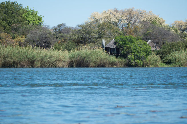 baumhaus | ngepi camp | caprivi strip | kavango | namibia 