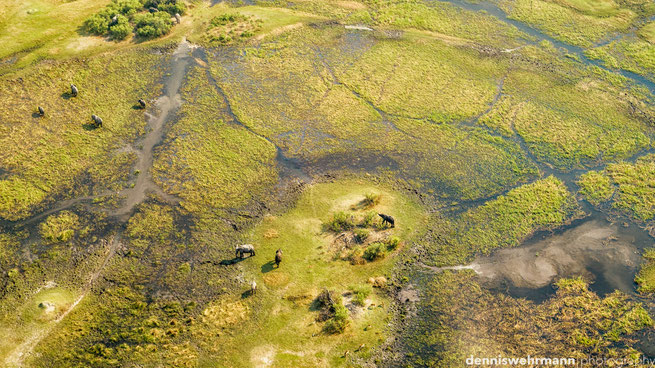 birds eye view okavango delta botswana