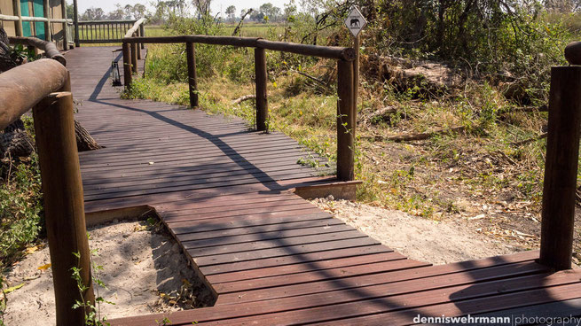 gunns camp okavango delta botswana