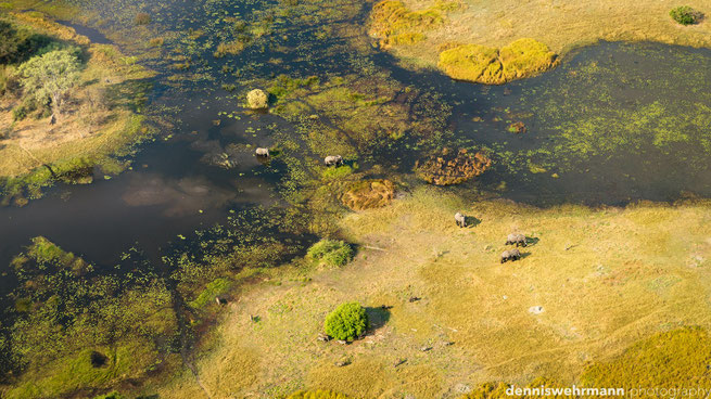 birds eye view okavango delta botswana