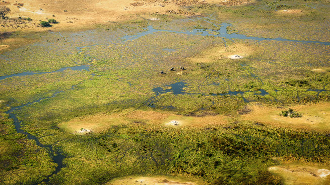 cessna round flight | okavango delta | botswana