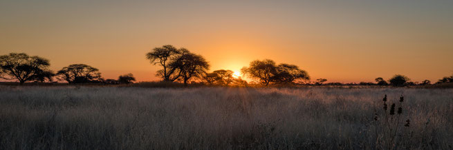 sundown central kalahari national park botswana
