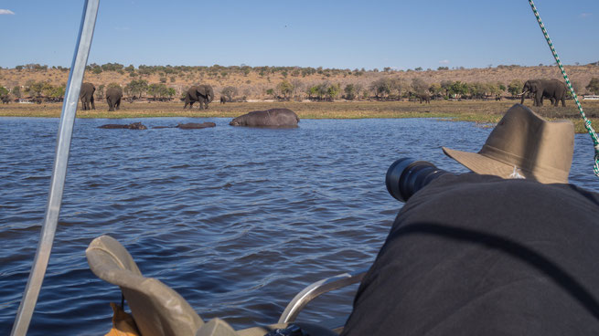 sedudu island | chobe riverfront | kasane | botswana