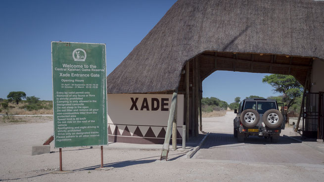 xade gate central kalahari national park botswana