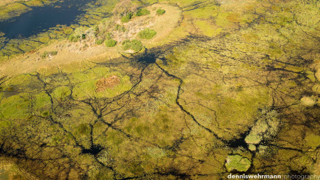 birds eye view okavango delta botswana