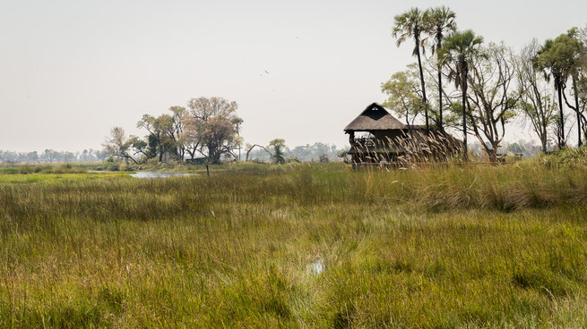 gunns camp | okavango delta | botswana