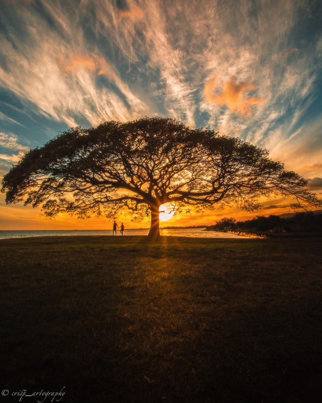 SOL