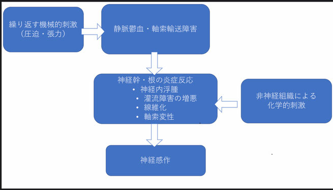 模式図　神経痛　五十肩