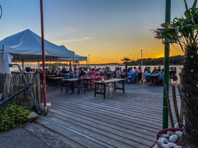 Dégustation d'huitres Arradon 